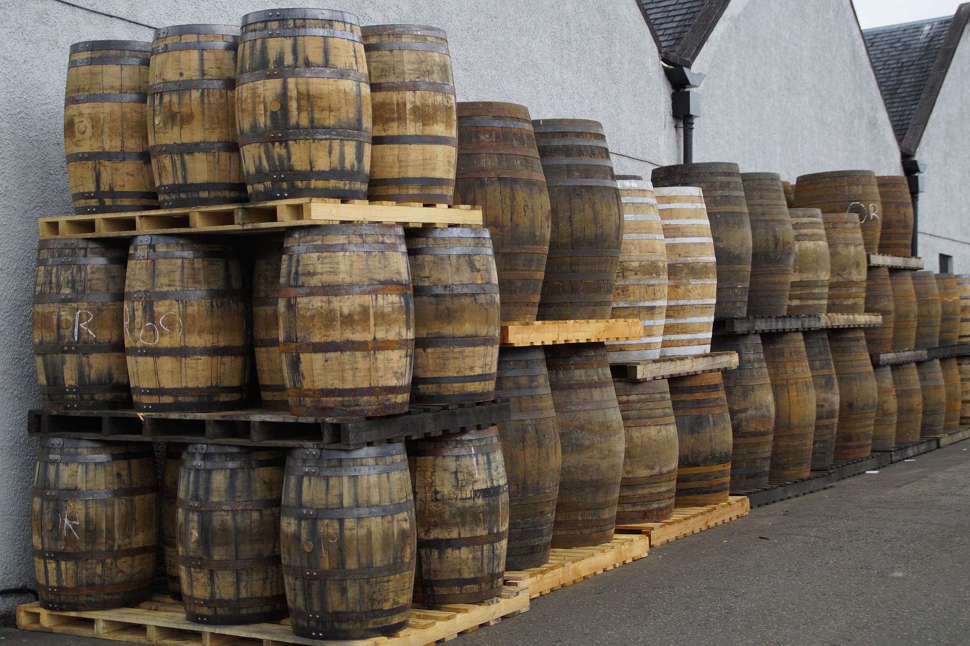 A collection of whiskey barrels